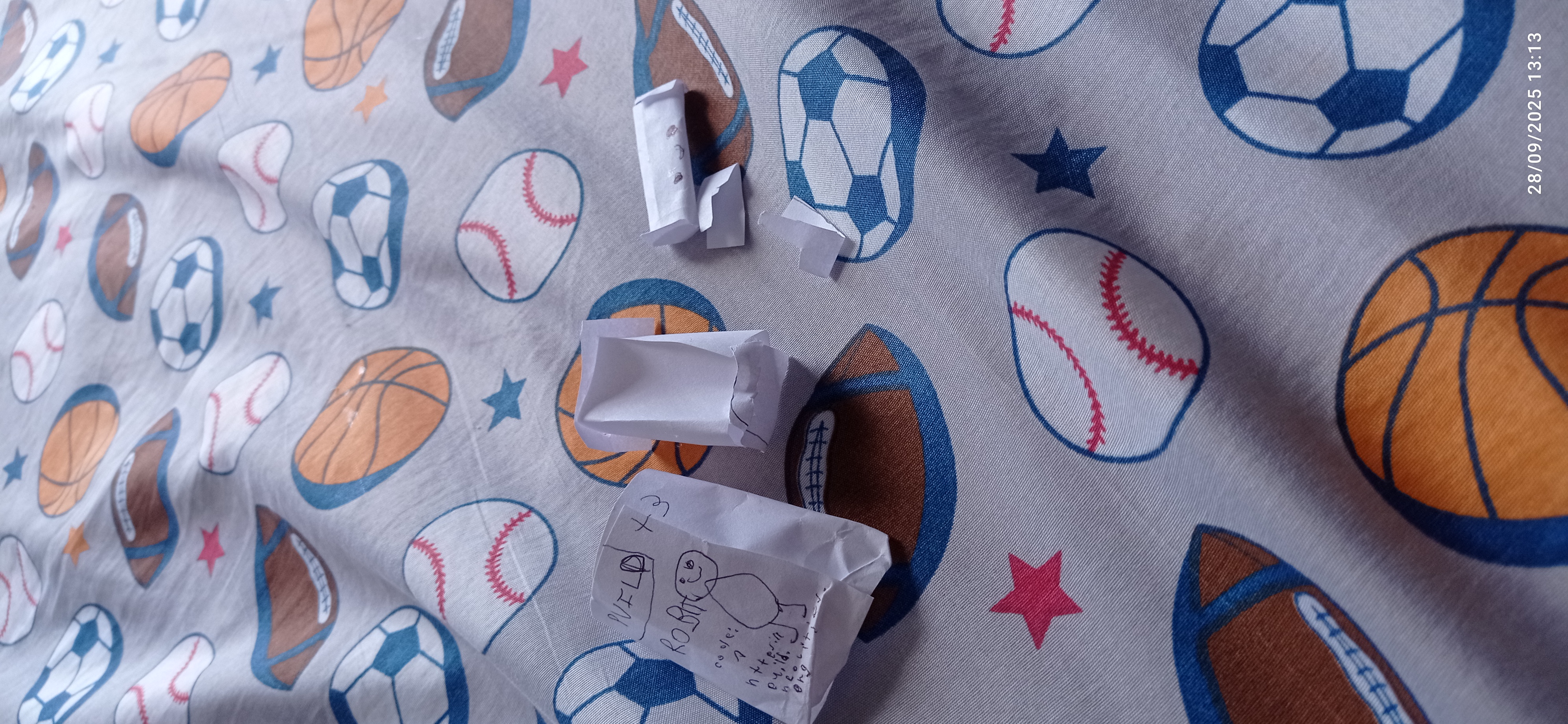 Descripción de la imagen