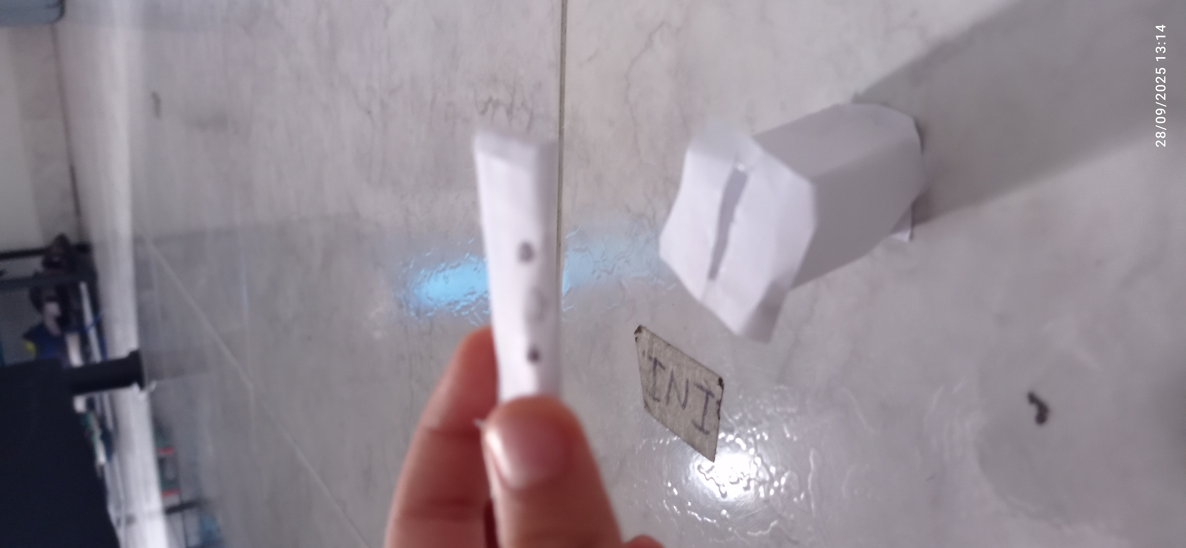 Descripción de la imagen