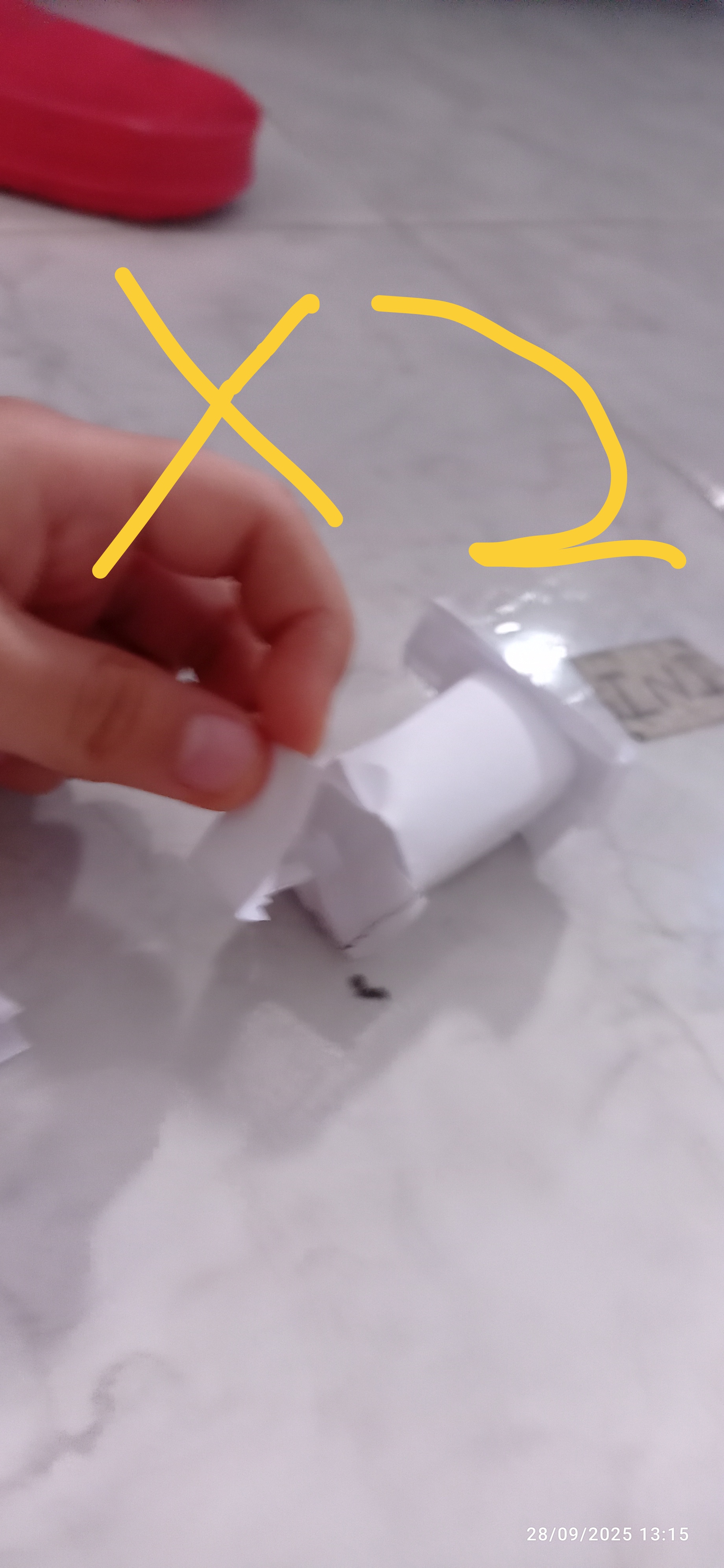 Descripción de la imagen